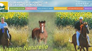 site de rencontre pour chevaux