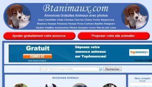 Annonces animaux gratuites avec photos chiens chats chevaux et poneys