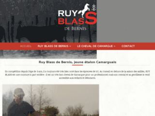 Ruy Blass