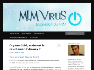 Blog MLM : découvrez les secrets MLM