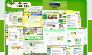 Site officiel : http://www.agriculturebio.org