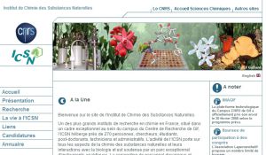 Site officiel : http://www.icsn.cnrs-gif.fr