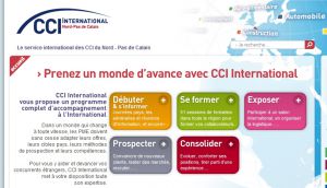 Site officiel : http://www.cci-international.net