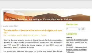 Site officiel : http://www.africopen.com