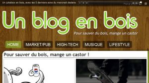 Site officiel : http://www.blogenbois.fr