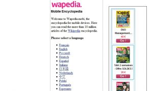 Site officiel : http://wapedia.mobi