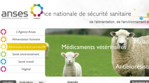 Redirection vers la nouvelle page d'accueil du site Afsset