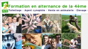 Ecole du chien et des animaux de compagnie 