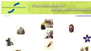 Collections et Musées des Universités de Strasbourg