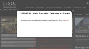 Site officiel : http://formation.essec.fr