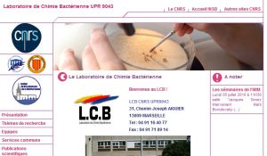 Site Officiel lcb cnrs-mrs fr